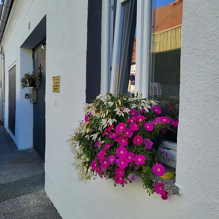 Pine House Apartman Fölöstöm