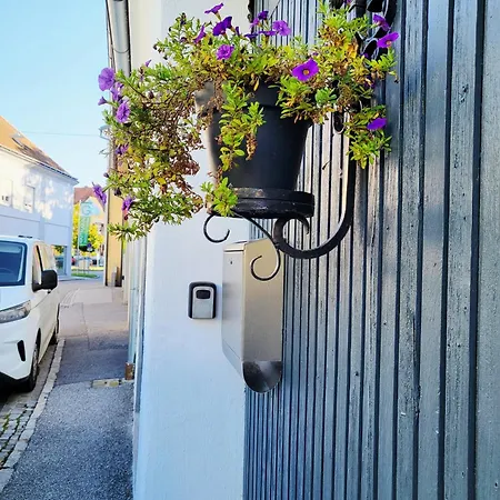 Pine House דירה *