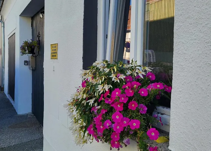 Pine House 公寓 菲尔斯滕费尔德