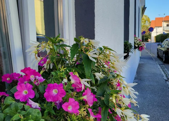 Pine House 公寓 菲尔斯滕费尔德